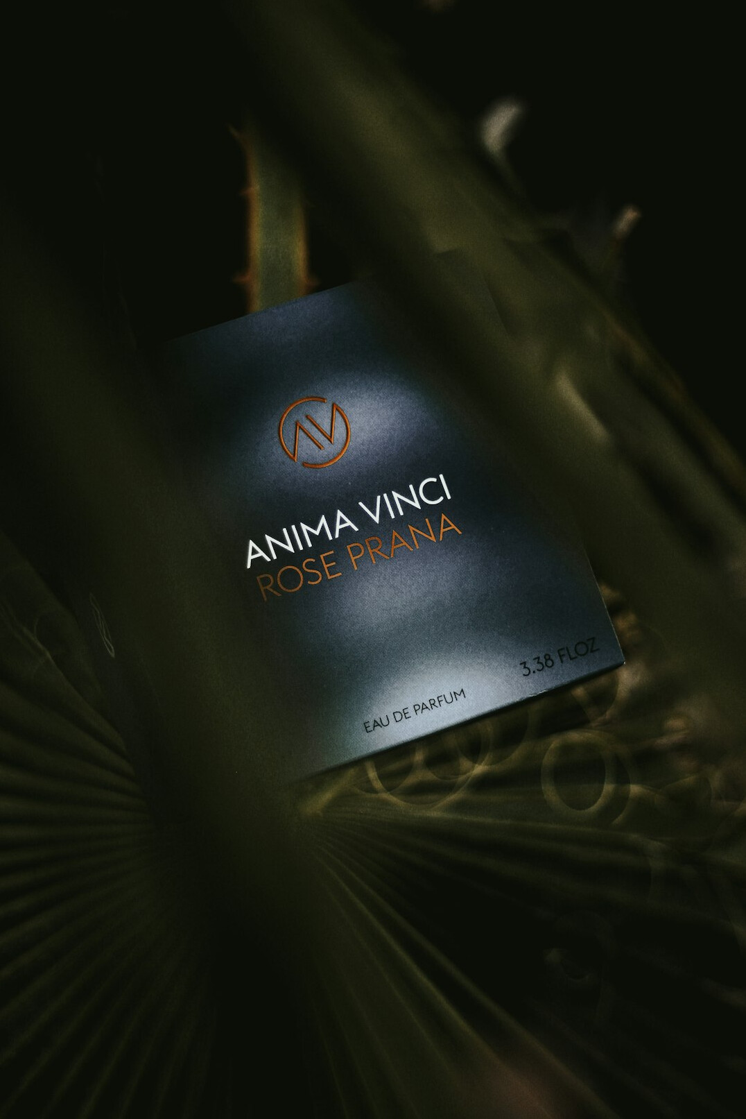croatian novel cover