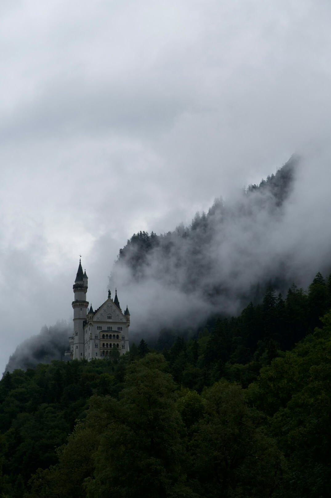 old castle in fog