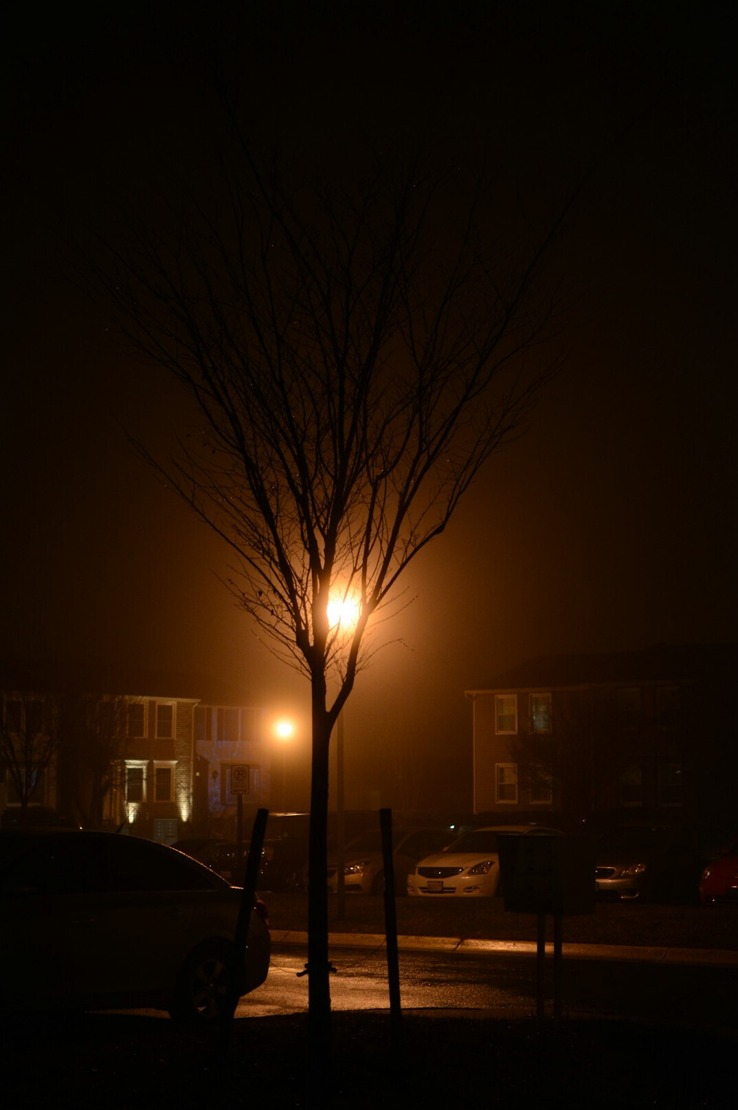 foggy street at night