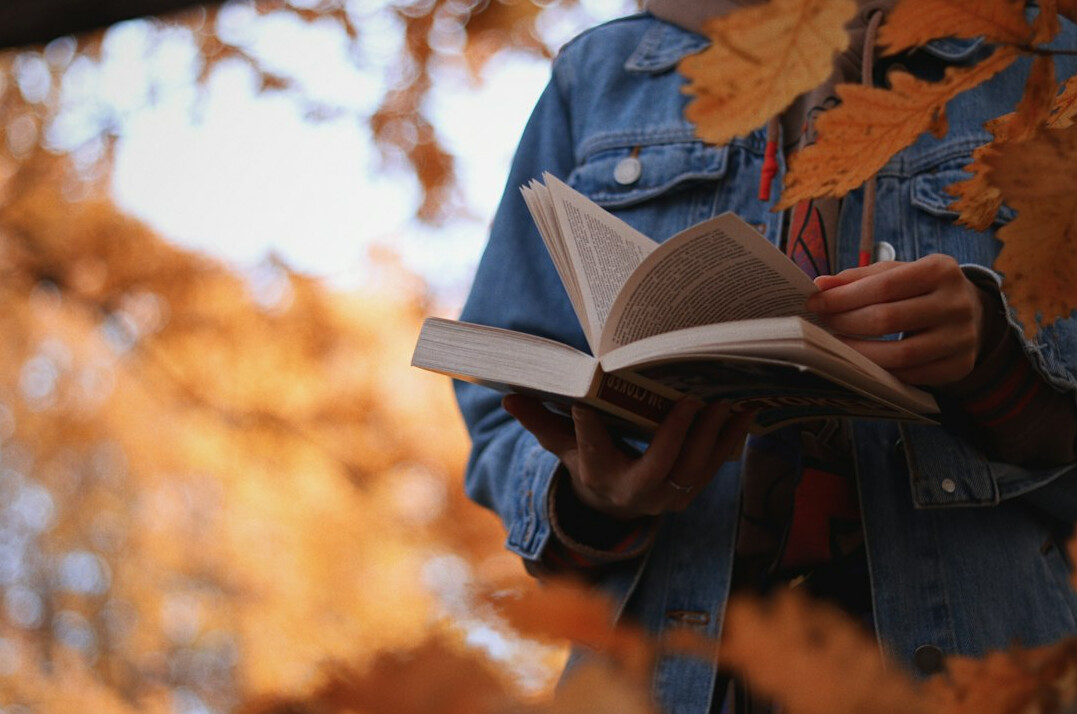 person reading mystery book